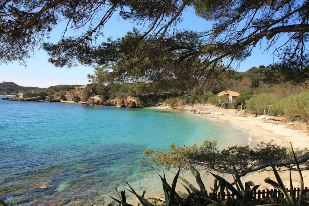 A 500 M Bord De Mer Giens Hyères Dış mekan fotoğraf